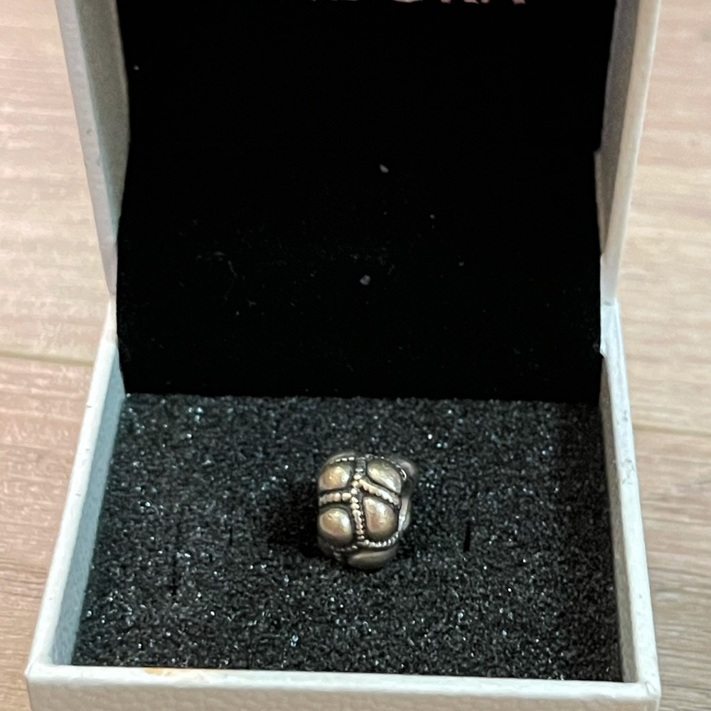 Pandora Charm